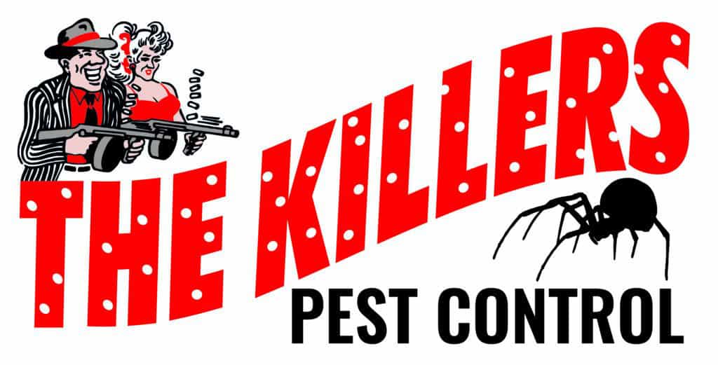 The killers logo with spider jpg